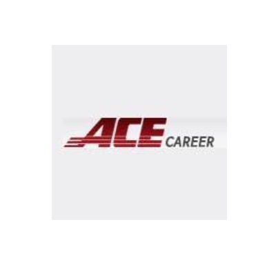 Ace Career Consulting